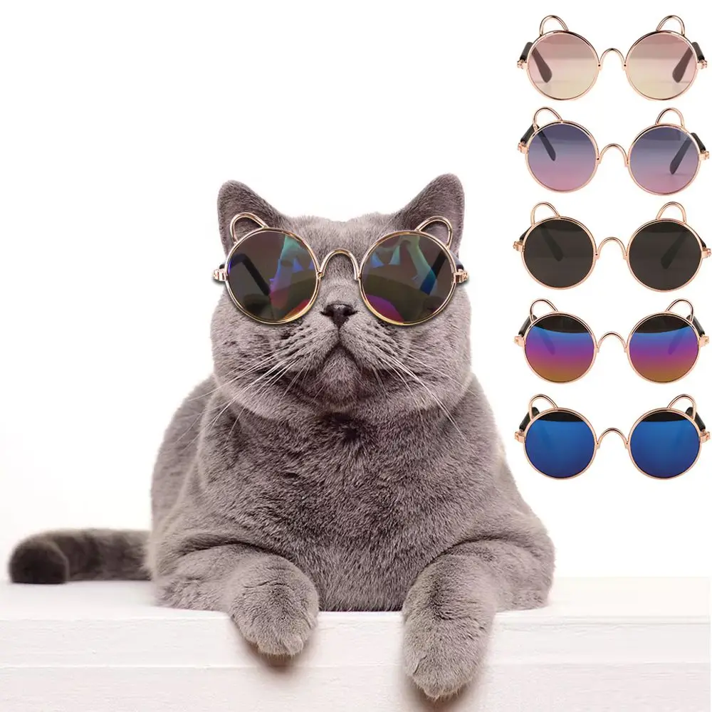 Fashioning Metal Pet Accessories Multicolor Cat Glasses Dog Sunglasses Pet Eyeglasses Round Frames Glasses
Fashioning Metal Pet Accessories Multicolor Cat Glasses Dog Sunglasses Pet Eyeglasses Round Frames Glasses
