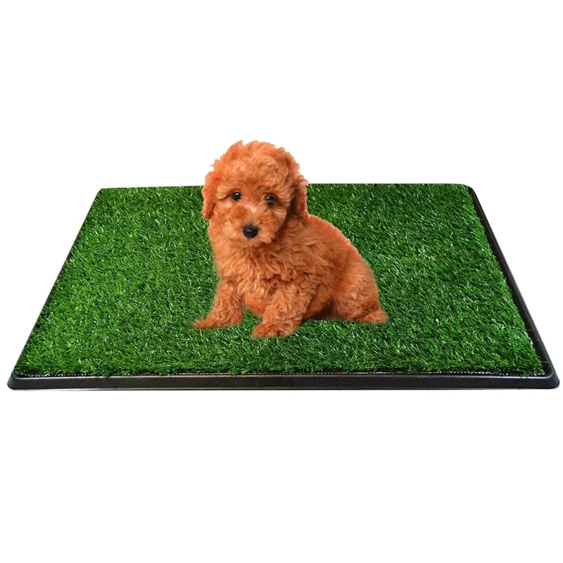 Puppy Toilet Mat Indoor Outdoor Training Grass Pad for Dogs Behavior Training with Replacement Grass
Puppy Toilet Mat Indoor Outdoor Training Grass Pad for Dogs Behavior Training with Replacement Grass