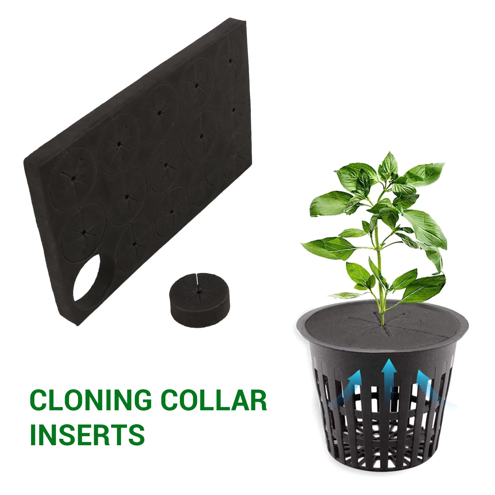 60Pcs Garden Clone Collars Neoprene Inserts Sponge Block for 2 inch Net Pots Hydroponics Systems and Cloning Machines
60Pcs Garden Clone Collars Neoprene Inserts Sponge Block for 2 inch Net Pots Hydroponics Systems and Cloning Machines