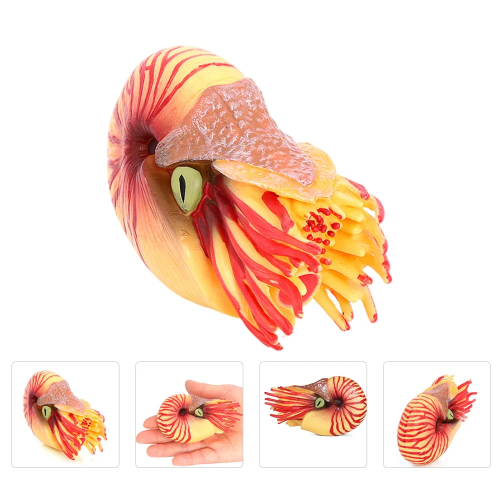 Dining Table Conch Toy Ornament Child Bath Toys Toddlers Simulated Marine Model Plastic Nautilus 
Dining Table Conch Toy Ornament Child Bath Toys Toddlers Simulated Marine Model Plastic Nautilus