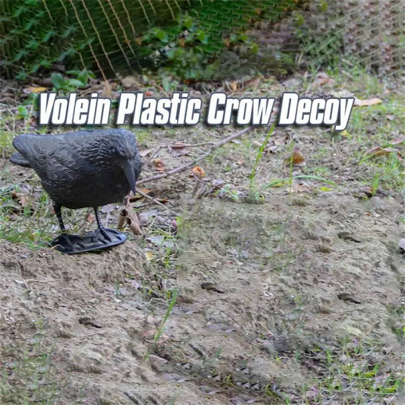 Simulation Of Black Crow Natural Props Simulation Can Be Used Repeatedly Simple And Delicate High Quality Rugged And Durable
Simulation Of Black Crow Natural Props Simulation Can Be Used Repeatedly Simple And Delicate High Quality Rugged And Durable