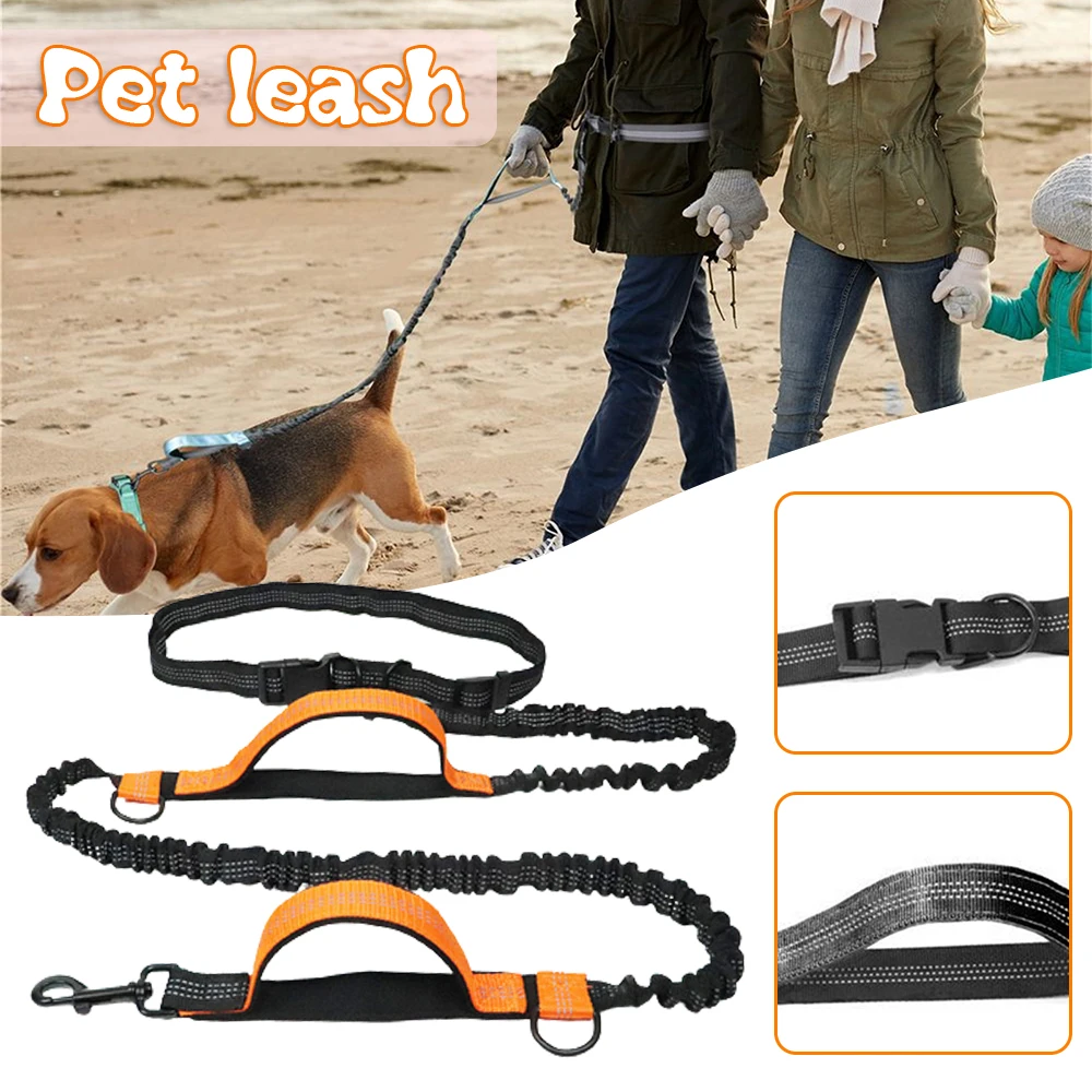 Explosion-Proof Punch Elastic Nylon Elastic Running Leash Double Retractable Dogs Leash Dog Chain Leash Pet Dog Outdoor Supplies
Explosion-Proof Punch Elastic Nylon Elastic Running Leash Double Retractable Dogs Leash Dog Chain Leash Pet Dog Outdoor Supplies