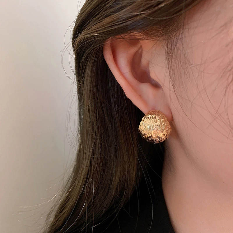 European and American Exaggerated Design Brushed Metal Earrings Korean Fashion Jewelry Goth Girls Simple Accessories For Woman
European and American Exaggerated Design Brushed Metal Earrings Korean Fashion Jewelry Goth Girls Simple Accessories For Woman