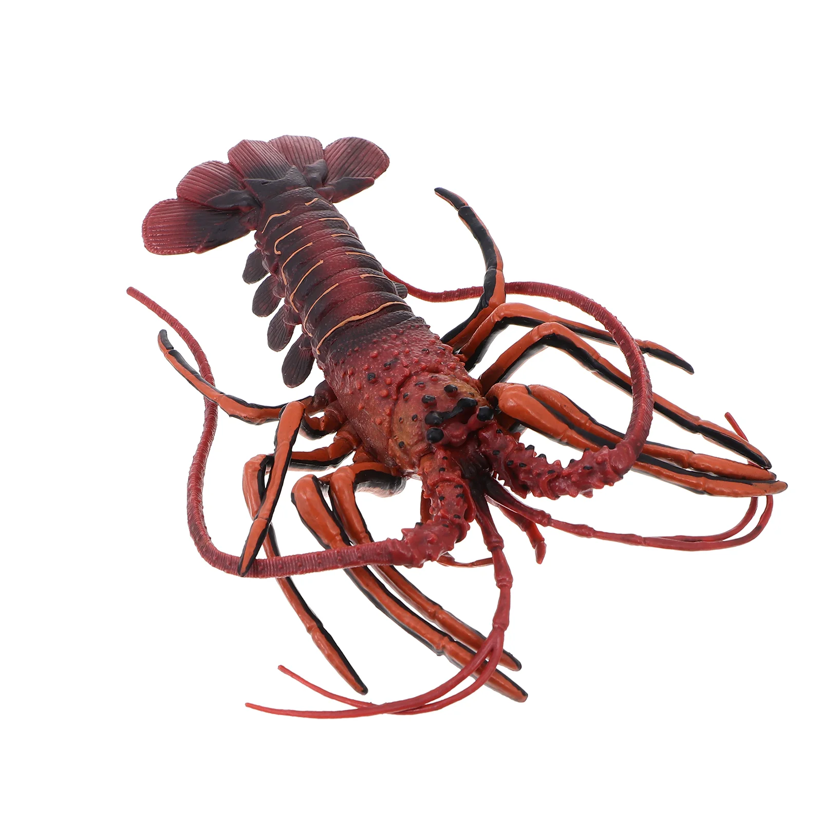Beach Toy Artificial Lobster Puzzle Toy Ocean Animal Figurines Ocean Animals Toys Lobster Toys Kids Lobster Model
Beach Toy Artificial Lobster Puzzle Toy Ocean Animal Figurines Ocean Animals Toys Lobster Toys Kids Lobster Model