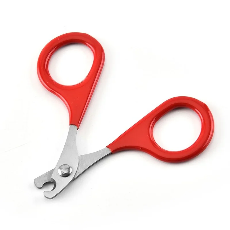 Cat Nail Scissors Dog Nails Cutter Pet Claw Clipper Care Tools Pliers For Cats Cleaning Dogs Supplies
Cat Nail Scissors Dog Nails Cutter Pet Claw Clipper Care Tools Pliers For Cats Cleaning Dogs Supplies