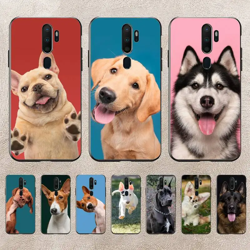 Cute Pet Dog Animal Phone Case For Redmi 9A 8A 6A Note 9 8 10 11S 8T Pro Max 9 K20 K30 K40 Pro PocoF3 Note11 5G Case
Cute Pet Dog Animal Phone Case For Redmi 9A 8A 6A Note 9 8 10 11S 8T Pro Max 9 K20 K30 K40 Pro PocoF3 Note11 5G Case