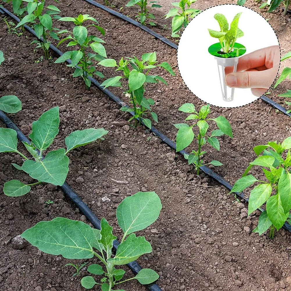 Sunshade Stickers Planting Baskets Flower Plant Planting Planting Cotton Corrosion Resistant Easy To Transplant
Sunshade Stickers Planting Baskets Flower Plant Planting Planting Cotton Corrosion Resistant Easy To Transplant