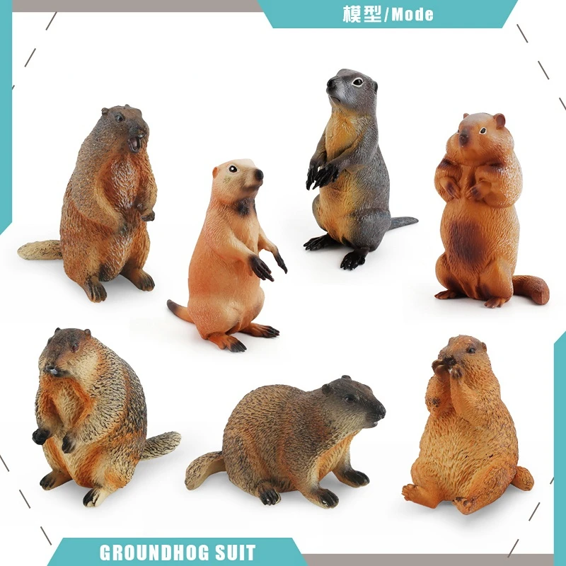 Модель дикого животного, Араш, белка, чипмунк, лес, луг, животное, статическое, ручная работа, декоративная фигурка, кавайные игрушки
Модель дикого животного, Араш, белка, чипмунк, лес, луг, животное, статическое, ручная работа, декоративная фигурка, кавайные игрушки