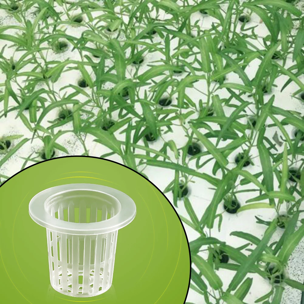50Pcs Planting Baskets Hydroponic Soilless Net Cup Nursery Plant Basket Mesh Pot Three-dimensional Cultivation Garden Supplies
50Pcs Planting Baskets Hydroponic Soilless Net Cup Nursery Plant Basket Mesh Pot Three-dimensional Cultivation Garden Supplies