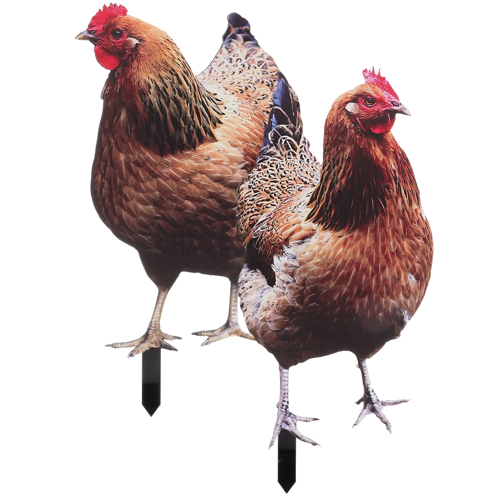 2 Pcs Chicken Garden Decoration Yards Art Stake Hen Sign Bathroom Decorations Lawn Christmas Ornament Animal
2 Pcs Chicken Garden Decoration Yards Art Stake Hen Sign Bathroom Decorations Lawn Christmas Ornament Animal