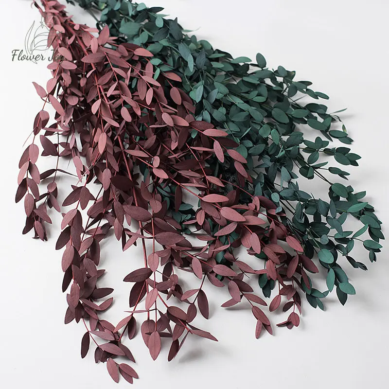 100g Dried Flowers Preserved Eucalyptus Bouquet Home Decor DIY Artificial Green Plants Wedding Shooting Party Table Decoration
100g Dried Flowers Preserved Eucalyptus Bouquet Home Decor DIY Artificial Green Plants Wedding Shooting Party Table Decoration