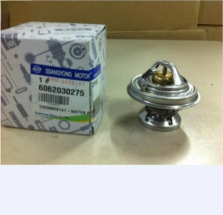 New Thermostat & Sealing Ring 6062030275 For Ssangyong Actyon Kyron Rexton Rodius 2.0T 2.7T
New Thermostat & Sealing Ring 6062030275 For Ssangyong Actyon Kyron Rexton Rodius 2.0T 2.7T