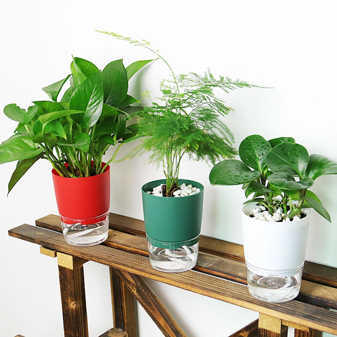 Lazy Flower Pot Automatic Water-Absorbing Flowerpot Transparent Plastic Self Watering Planter Plants Nursery Pods Flower Pot 
Lazy Flower Pot Automatic Water-Absorbing Flowerpot Transparent Plastic Self Watering Planter Plants Nursery Pods Flower Pot