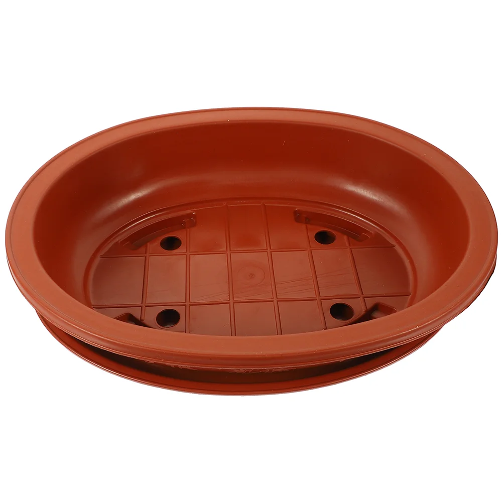 Flowerpot Oval Bonsai Potted Big Large Plastic Home Gardening Orchid Planter Office Outdoor Decorative
Flowerpot Oval Bonsai Potted Big Large Plastic Home Gardening Orchid Planter Office Outdoor Decorative