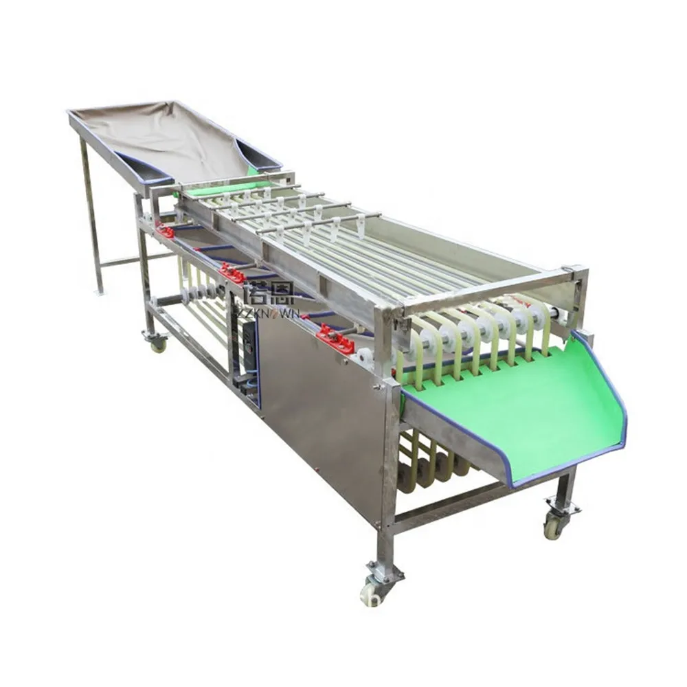 

Olive Sizing Machine Cherry Sorting Machine Orange Dates Tomato Grading Machine Nut Walnut Chestnut Sorter For Onion Avocado