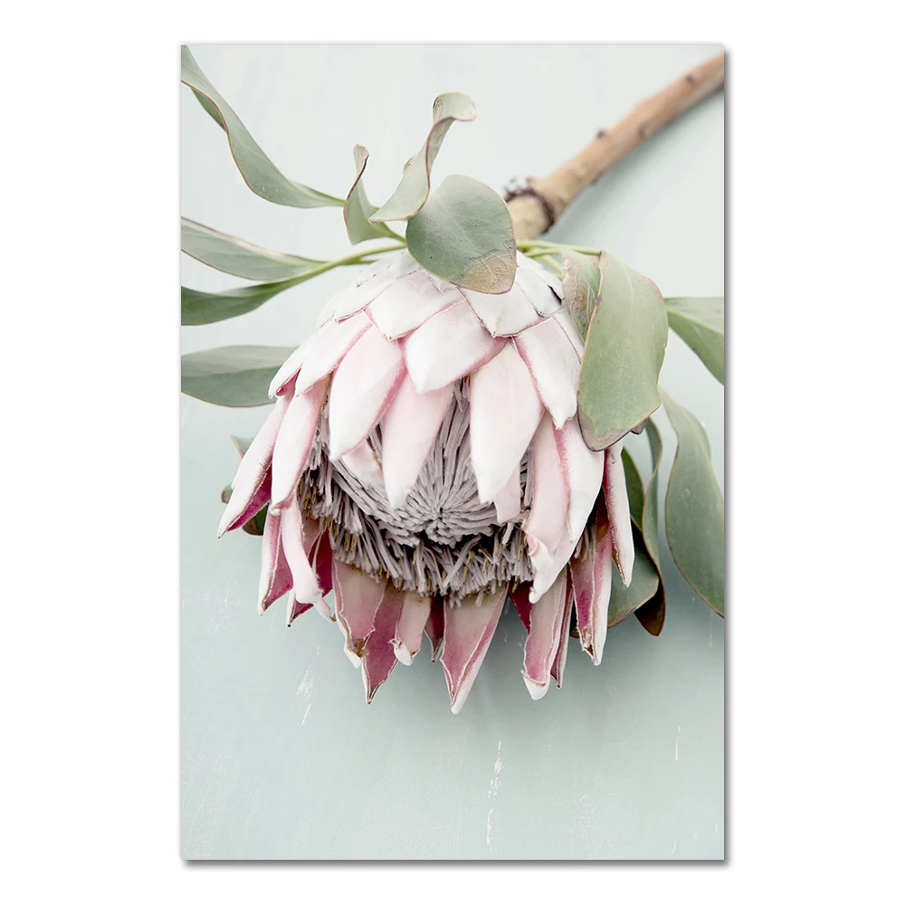 Живопись DHART Protea King Современная
Живопись DHART Protea King Современная