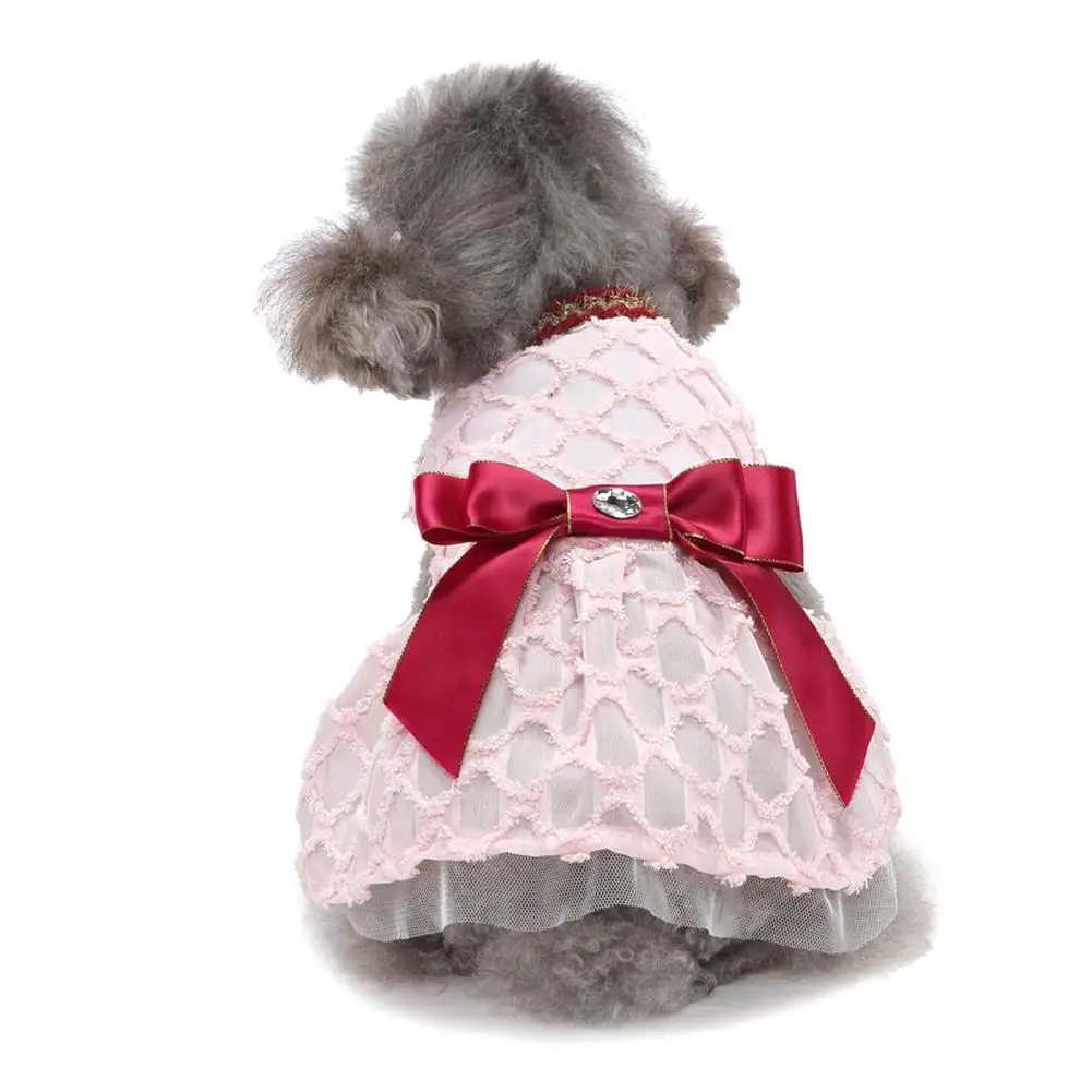 Pet Dress Lovely Lightweight High Elasticity Summer Dog Two-legged Clothes Birthday Outfit Pet Skirt Dog Dress
Pet Dress Lovely Lightweight High Elasticity Summer Dog Two-legged Clothes Birthday Outfit Pet Skirt Dog Dress