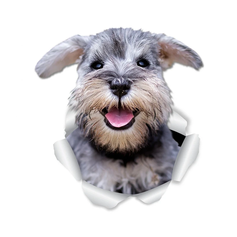 13CM/17CM Vinyl Decal Cute Smiling Schnauzer Dog Car Sticker Waterproof Auto Decors for Bumper Rear Window Laptop
13CM/17CM Vinyl Decal Cute Smiling Schnauzer Dog Car Sticker Waterproof Auto Decors for Bumper Rear Window Laptop