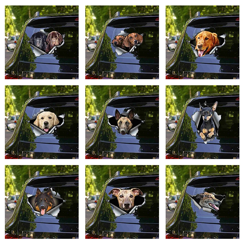 Funny Dog Head Anime Car Sticker Decal Car Decoration 3d Accessories Window Car Sticker Brand Decal Car Product Pvc Car Sticker
Funny Dog Head Anime Car Sticker Decal Car Decoration 3d Accessories Window Car Sticker Brand Decal Car Product Pvc Car Sticker