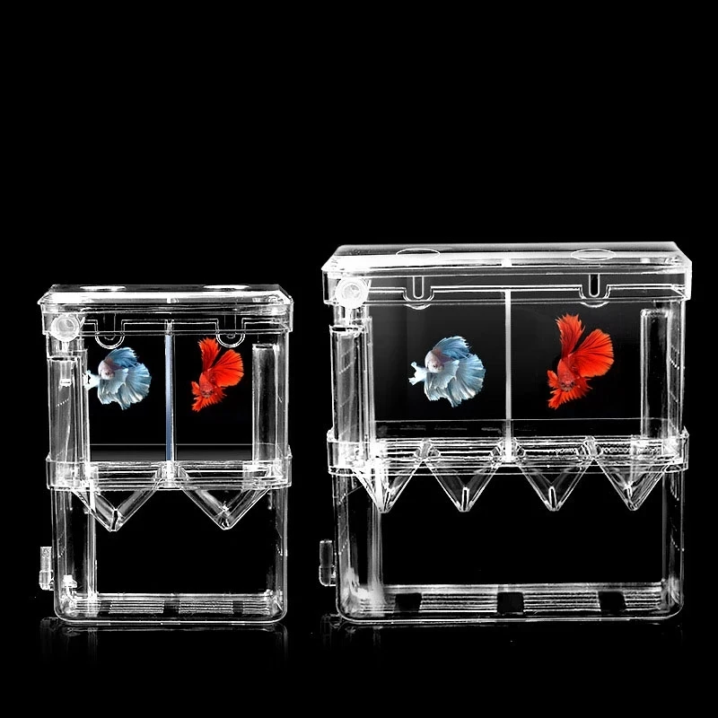 Fish Breeding Isolation Production Box Fish Tank Hatching Incubator Acrylic Aquarium Nursery Fish Tank
Fish Breeding Isolation Production Box Fish Tank Hatching Incubator Acrylic Aquarium Nursery Fish Tank