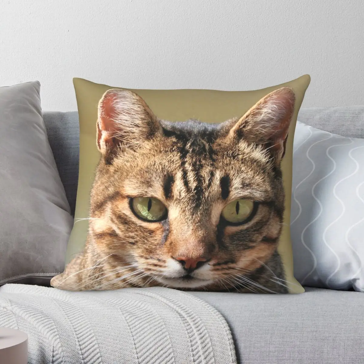

Portrait Of A Cute Tabby Cat Square Pillowcase Polyester Linen Velvet Printed Zip Decor Pillow Case Room Cushion Case 18"