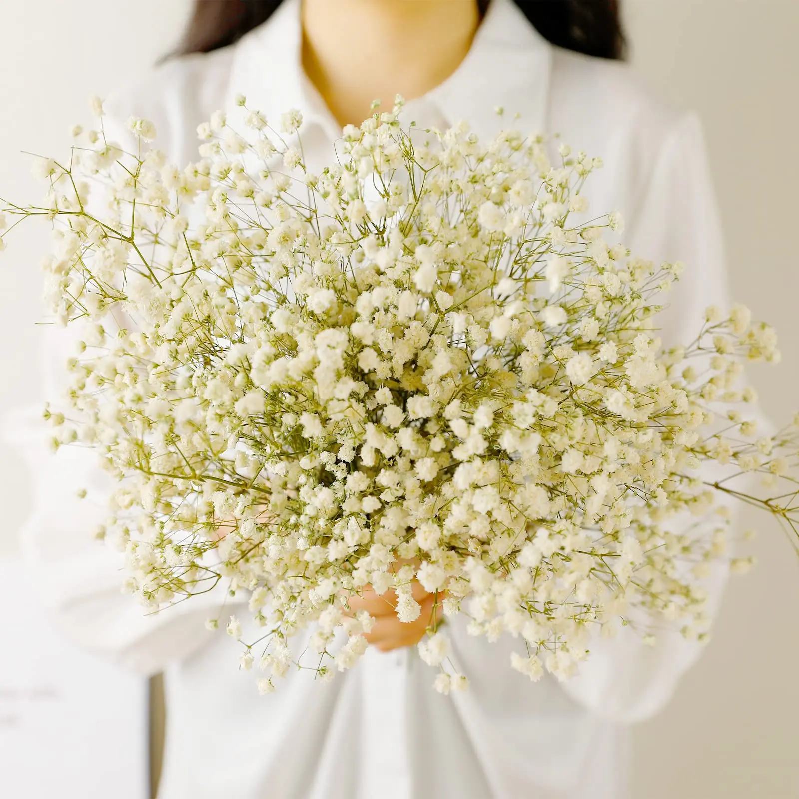 

100g Natural Dried Flowers Babys Breath White Bundles Gypsophila Bouquet for Wedding DIY Arrangements Home Decoration Table Vase