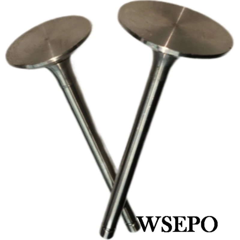 OEM Quality! Intake and Exhaust Valves Kit for ZH1125 4 Stroke Single Cylinder Small Water Cooled Diesel Engine
OEM Quality! Intake and Exhaust Valves Kit for ZH1125 4 Stroke Single Cylinder Small Water Cooled Diesel Engine