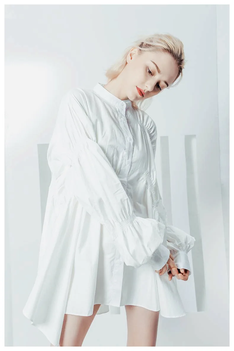 White Fashion Women Shirt Dress Casual Stand Collar Style Loose Blouses Irregular Pleated Lantern Sleeve Elegant Solid Work Offi
White Fashion Women Shirt Dress Casual Stand Collar Style Loose Blouses Irregular Pleated Lantern Sleeve Elegant Solid Work Offi
