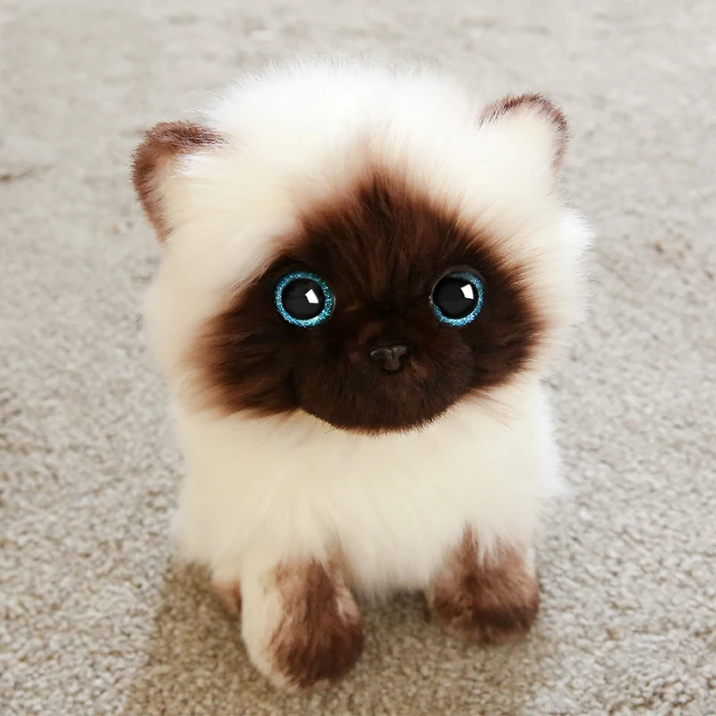 

20/26CM Simulation Siamese Cat Plush Toy Blue Sequins Eyes Dolls Brown and White Face Ragdoll Cats Home Decor Cute Gift for Baby