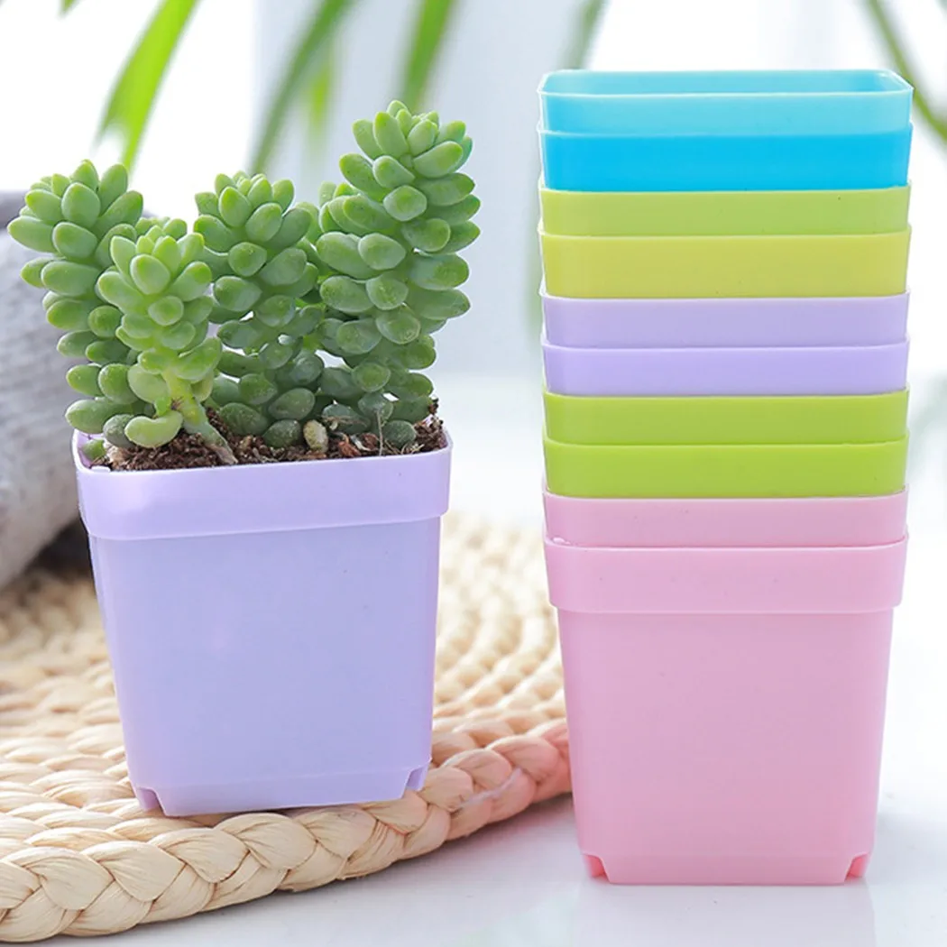 10pcs Mini Square Plastic Plant Flower Pot Home Office Decor Planter Colorful With Pots Trays Green Plant Artificial
10pcs Mini Square Plastic Plant Flower Pot Home Office Decor Planter Colorful With Pots Trays Green Plant Artificial