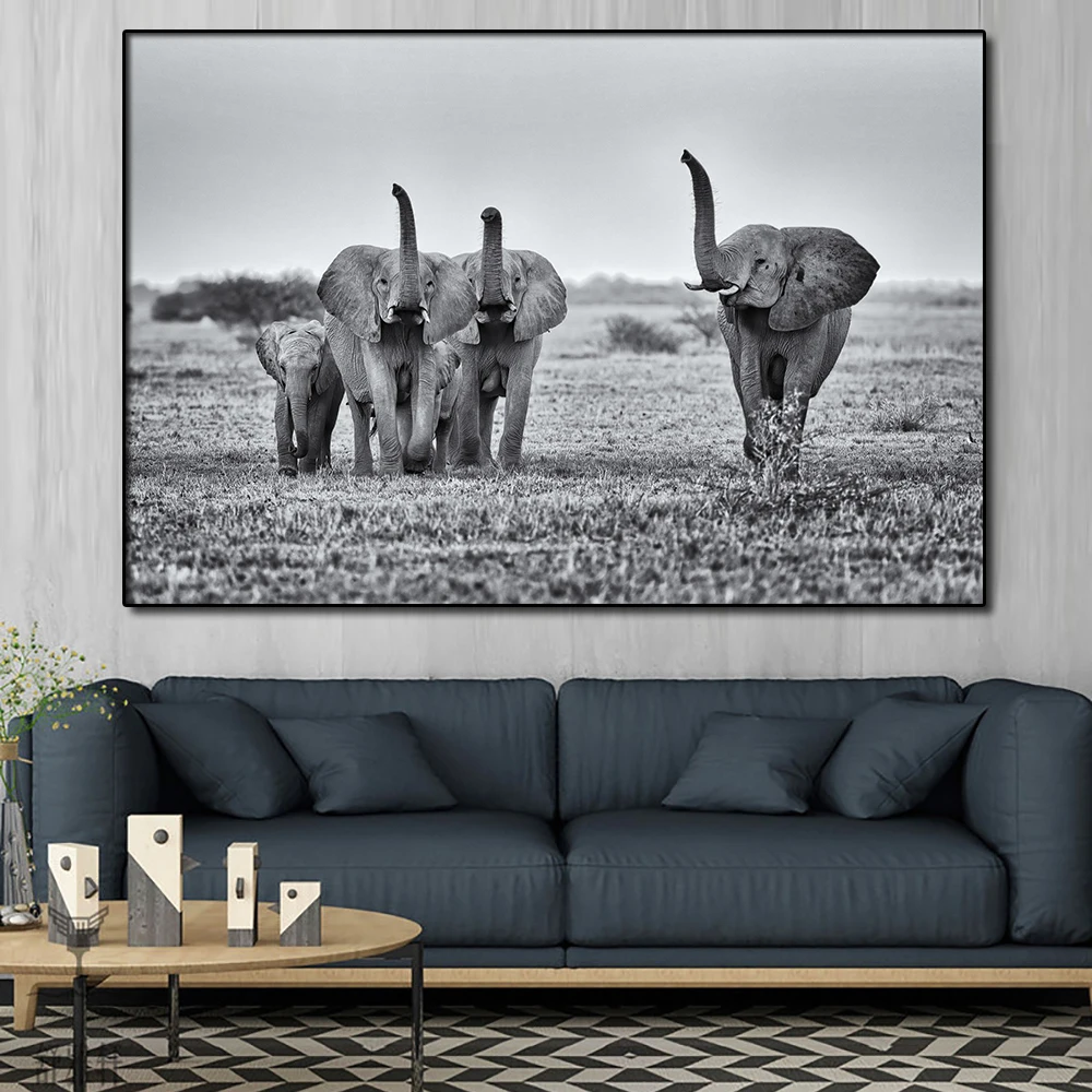 Modern Animal Art Balck White Pictures Canvas Printed Painting Happy Elephent Wall Art Artwork Poster for Living Room Home Decor
Modern Animal Art Balck White Pictures Canvas Printed Painting Happy Elephent Wall Art Artwork Poster for Living Room Home Decor