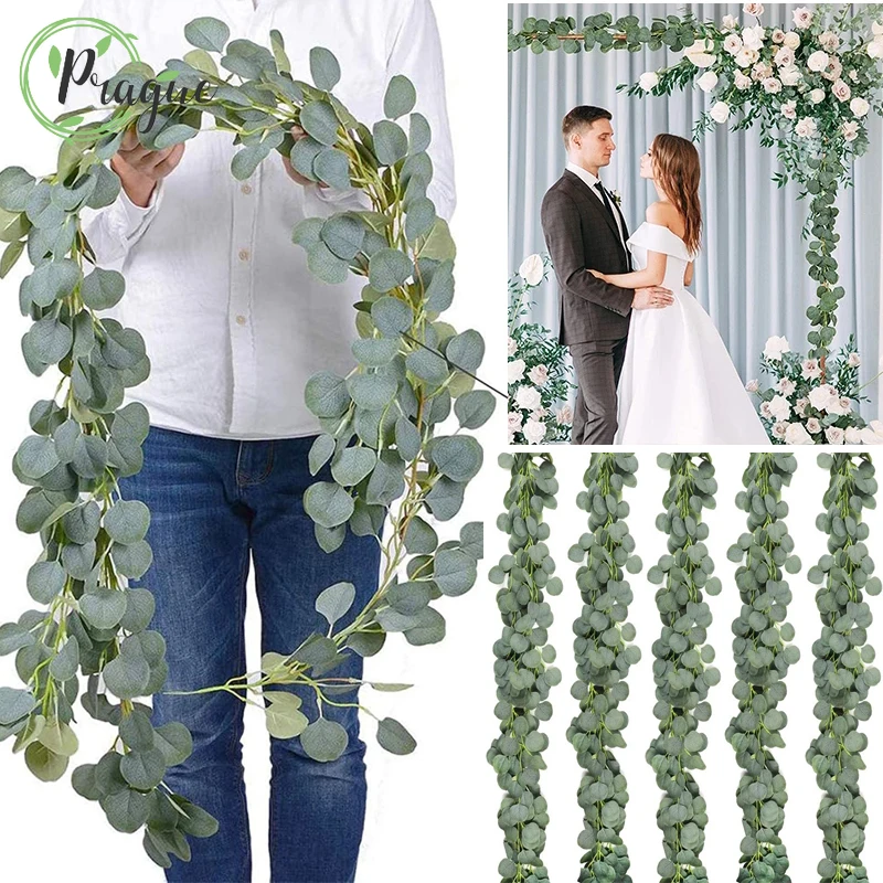5/3/1 Packs 6.5 Feet Artificial Eucalyptus Vines Fake Plants Wreath Garland Eucalyptus for Wedding Banquet Garden Home Decora
5/3/1 Packs 6.5 Feet Artificial Eucalyptus Vines Fake Plants Wreath Garland Eucalyptus for Wedding Banquet Garden Home Decora