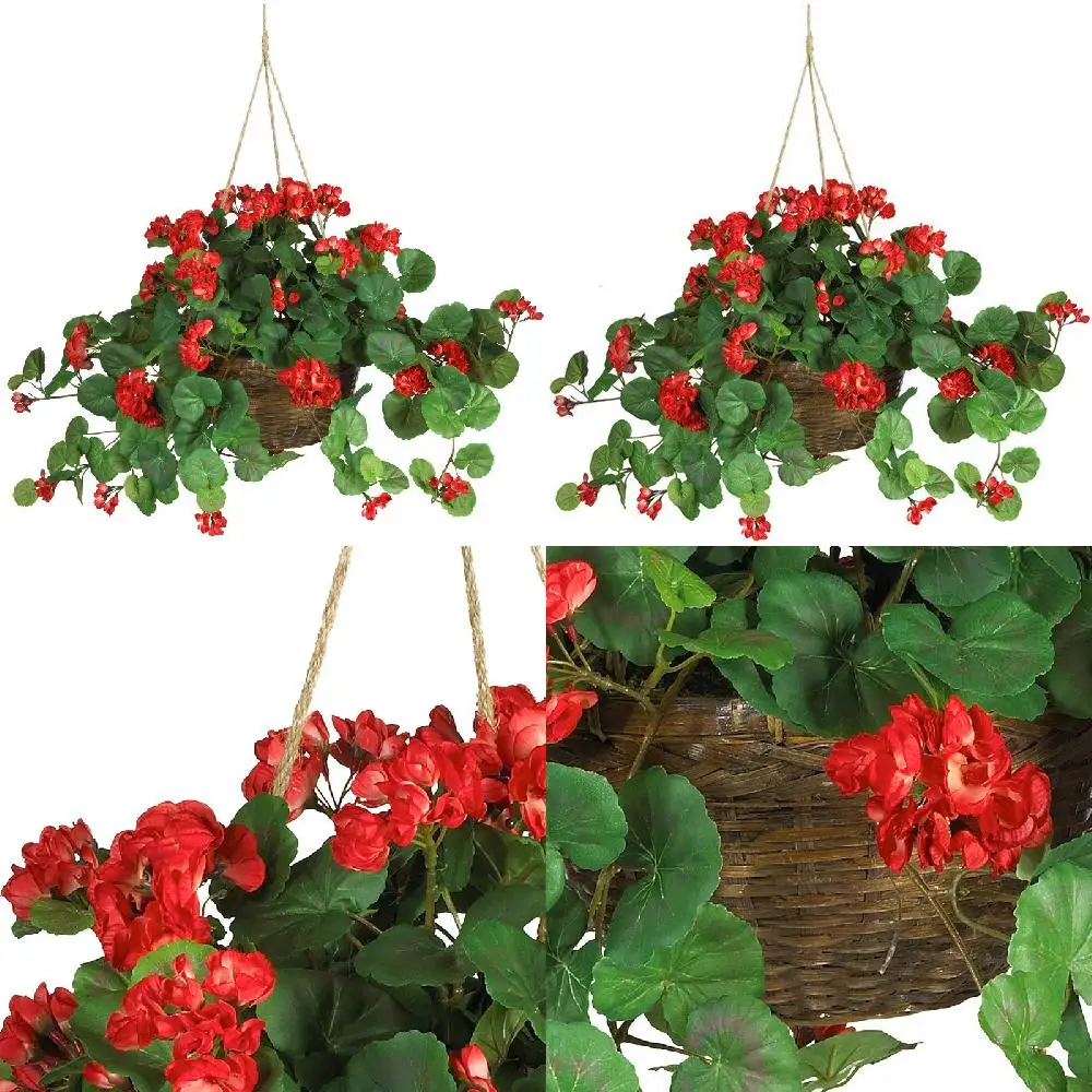 Lush, Lifelike Geranium Hanging Basket Artificial Plant, Beautiful Green Plant Vines for Enjoyment and Decorating.
Lush, Lifelike Geranium Hanging Basket Artificial Plant, Beautiful Green Plant Vines for Enjoyment and Decorating.