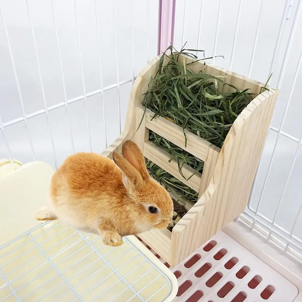 Pet 2-in-1 Rabbit Wooden Bowl Solid Wood Straw Rack Food Bowl Feeder For Rabbit Chinchilla Accessories
Pet 2-in-1 Rabbit Wooden Bowl Solid Wood Straw Rack Food Bowl Feeder For Rabbit Chinchilla Accessories