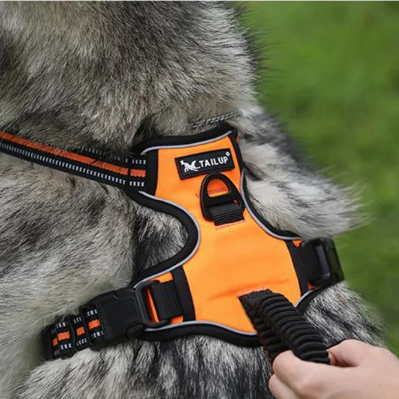 Pet Reflective Nylon Dog Harness No Pull Adjustable Medium Large Naughty Dog Vest Safety Vehicular Lead Walking Running
Pet Reflective Nylon Dog Harness No Pull Adjustable Medium Large Naughty Dog Vest Safety Vehicular Lead Walking Running
