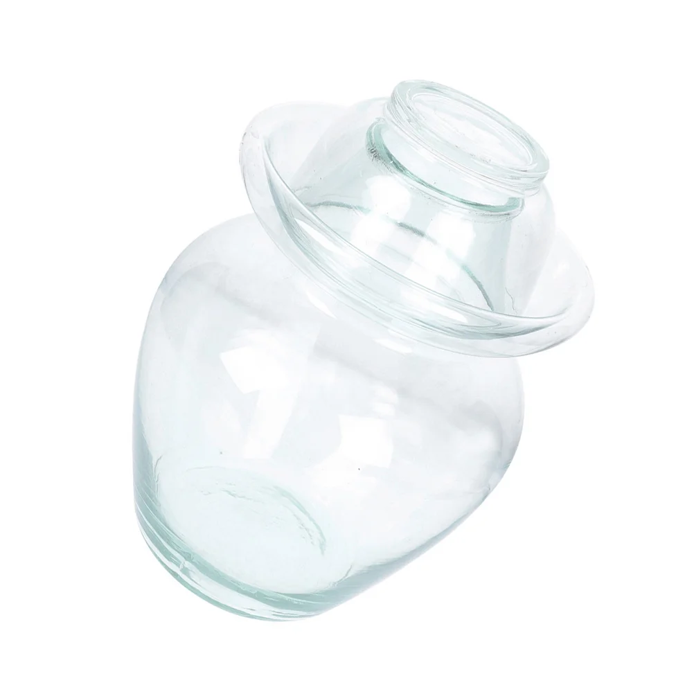 1Pc Transparent Glass Pickle Jar Household Large Capacity Food Sealed Can
1Pc Transparent Glass Pickle Jar Household Large Capacity Food Sealed Can
