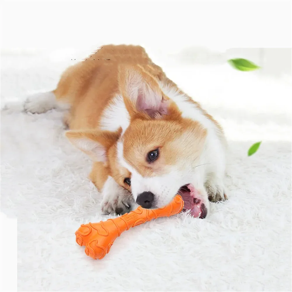 Dog Toy Rubber Bone Teases Dog Teething Stick Big, Medium and Small Poodle Labrador Husky Training Relief Pet Supplies
Dog Toy Rubber Bone Teases Dog Teething Stick Big, Medium and Small Poodle Labrador Husky Training Relief Pet Supplies
