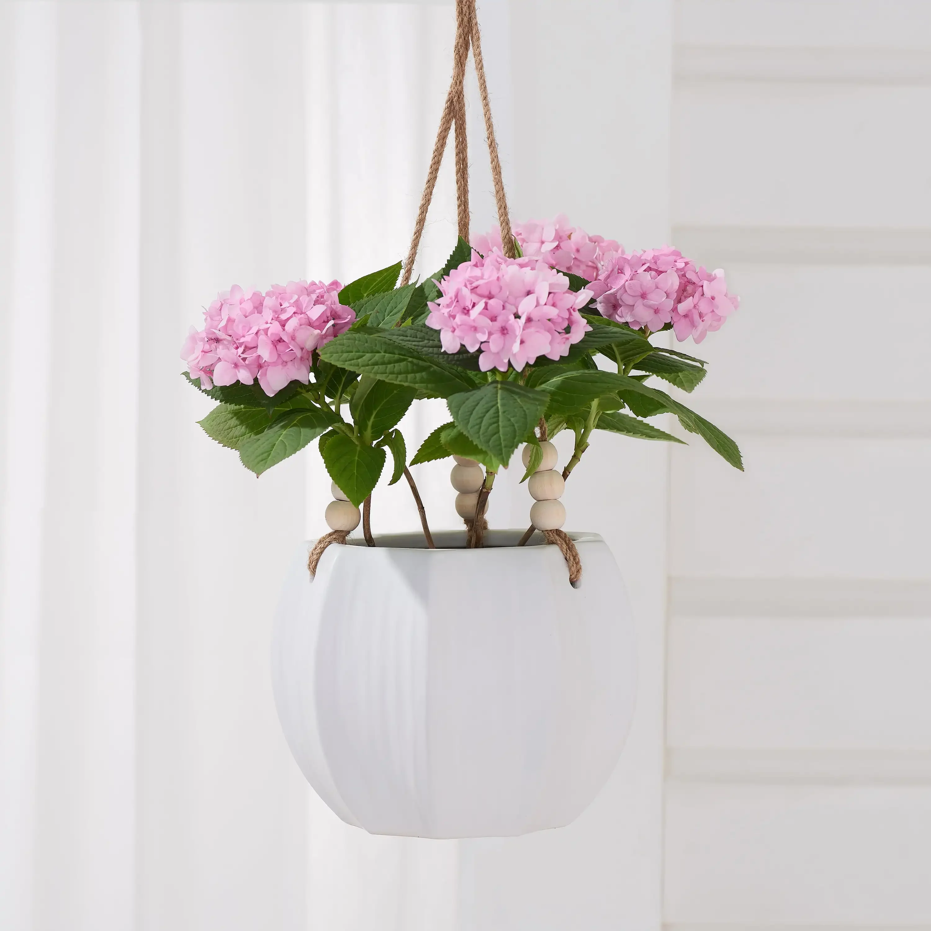 Pottery 8" Mylia Ceramic Hanging Planter, White pots planters for indoor plants Rapid Transit
Pottery 8" Mylia Ceramic Hanging Planter, White pots planters for indoor plants Rapid Transit