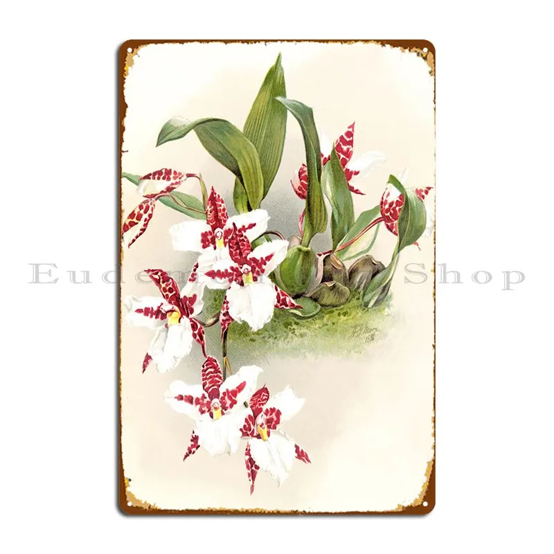 Красно-белый металлический плакат с орхидеей, Постер клуба, бара, пещера, настенная роспись, фотопечать, Жестяная Табличка на гараж постер
Красно-белый металлический плакат с орхидеей, Постер клуба, бара, пещера, настенная роспись, фотопечать, Жестяная Табличка на гараж постер