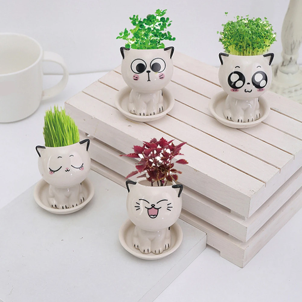 

Миниатюрный керамический цветочный горшок в форме кошки с мультяшным рисунком, настольный горшок для выражения кошки, декоративный горшок для растений, маленькое украшение для стола