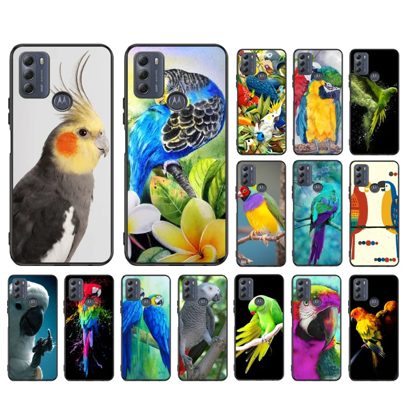 Parrot Bird Phone Case for Motorola Moto E32 E20 E40 G22 G52 G20 G30 G100 G60 G50 G10 GPure GStylus G9 One Action Macro
Parrot Bird Phone Case for Motorola Moto E32 E20 E40 G22 G52 G20 G30 G100 G60 G50 G10 GPure GStylus G9 One Action Macro