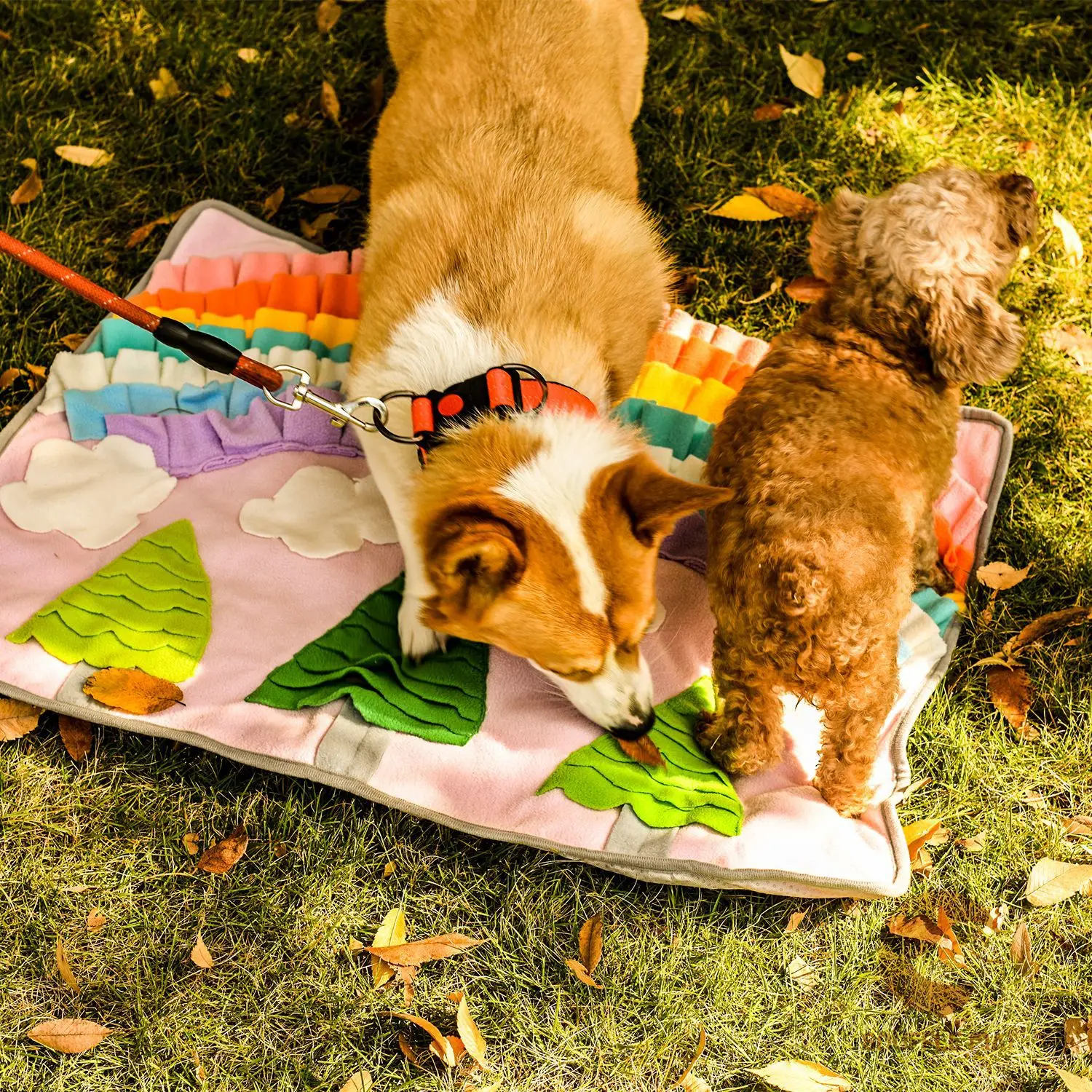 Pet Dog Snuffle Mat Pet Sniffing Training Blanket Detachable Fleece Pads Dog Mat Relieve Stress Nosework Puzzle Toy Pet Nose Pad
Pet Dog Snuffle Mat Pet Sniffing Training Blanket Detachable Fleece Pads Dog Mat Relieve Stress Nosework Puzzle Toy Pet Nose Pad