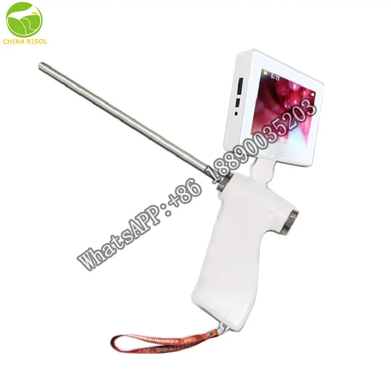 Large Screen Veterinaria Artificial Insemination Gun for Large Cattle Sheep Horse Dog
Large Screen Veterinaria Artificial Insemination Gun for Large Cattle Sheep Horse Dog