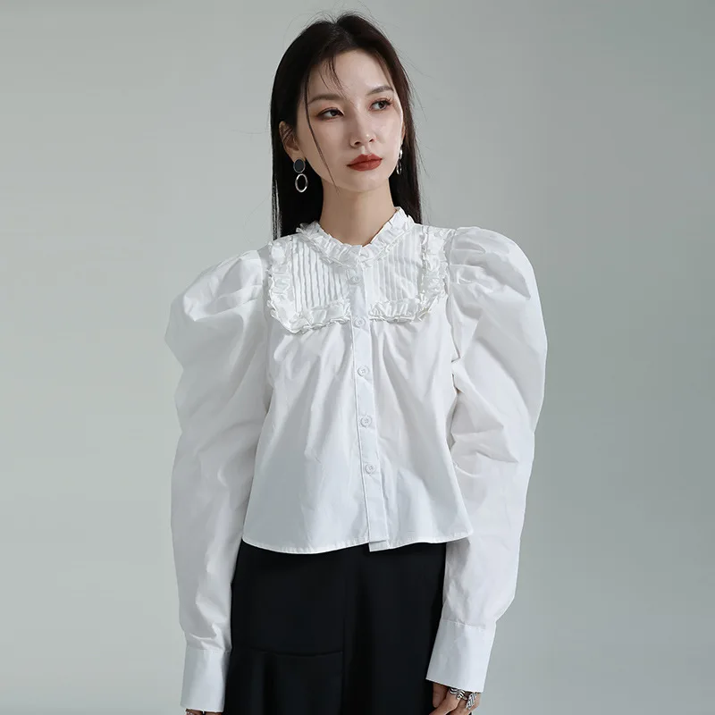 SuperAen Spring 2023 New Design Puff Sleeve Shirt Women's Long Sleeve Short Shirt Womens Tops
SuperAen Spring 2023 New Design Puff Sleeve Shirt Women's Long Sleeve Short Shirt Womens Tops