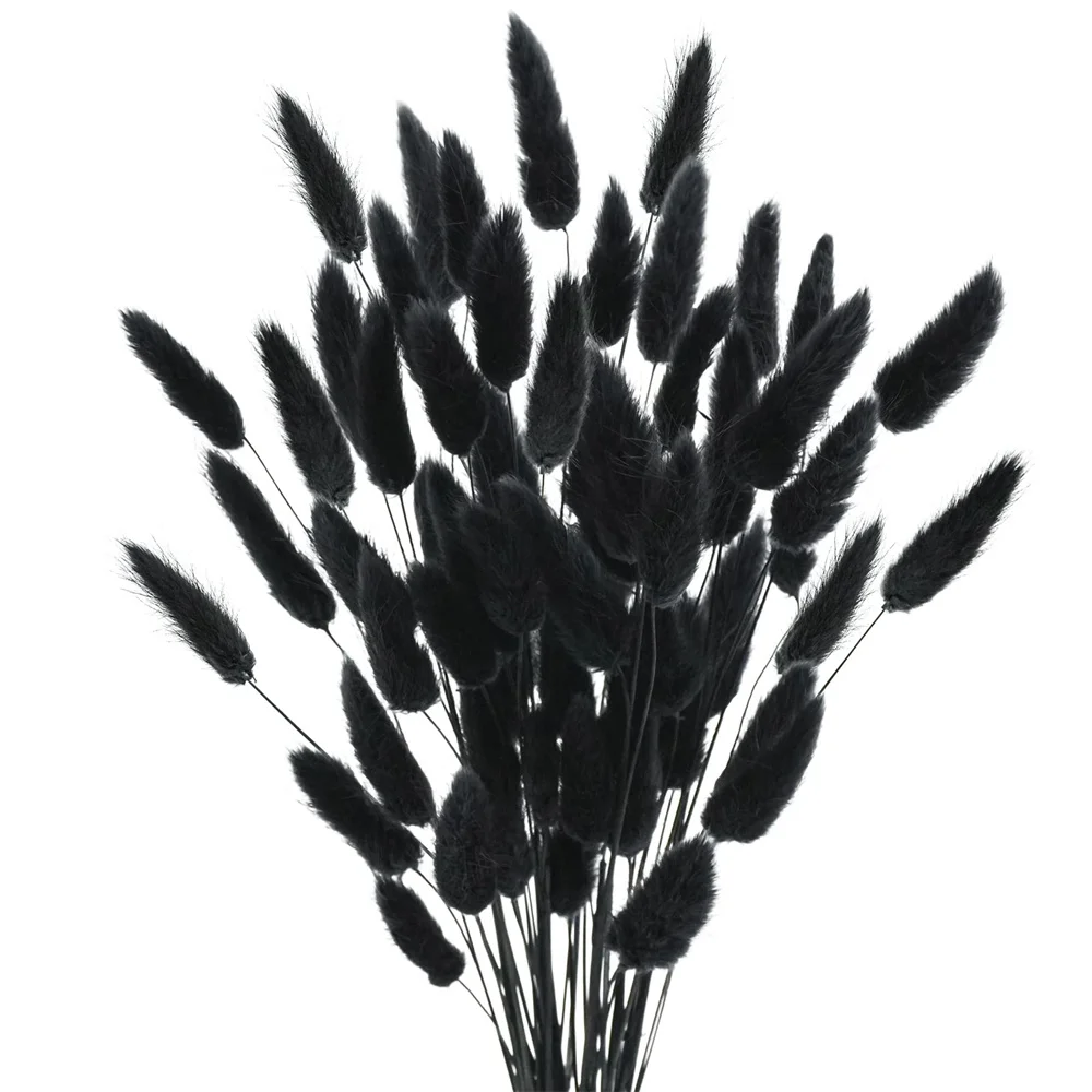100PCS Dried Flower Rabbit Tail Grass Decor Natural Bunny Tail Wedding Home Party Decorations Artificial Flowers Arrangements
100PCS Dried Flower Rabbit Tail Grass Decor Natural Bunny Tail Wedding Home Party Decorations Artificial Flowers Arrangements