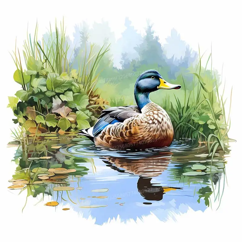 Настенная наклейка ПВХ с уткой Cartoon
Настенная наклейка ПВХ с уткой Cartoon