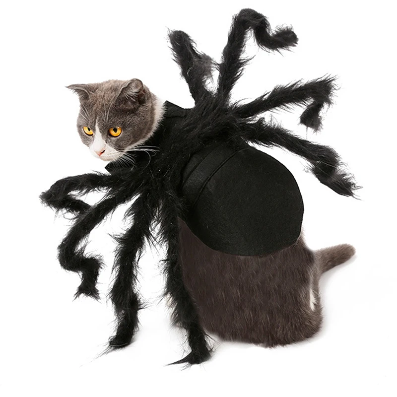 Halloween Spider Clothes For Pet Dog Cat Spider Costumes Dressing Up Pet Clothes Party Pet Halloween Props Accessories
Halloween Spider Clothes For Pet Dog Cat Spider Costumes Dressing Up Pet Clothes Party Pet Halloween Props Accessories