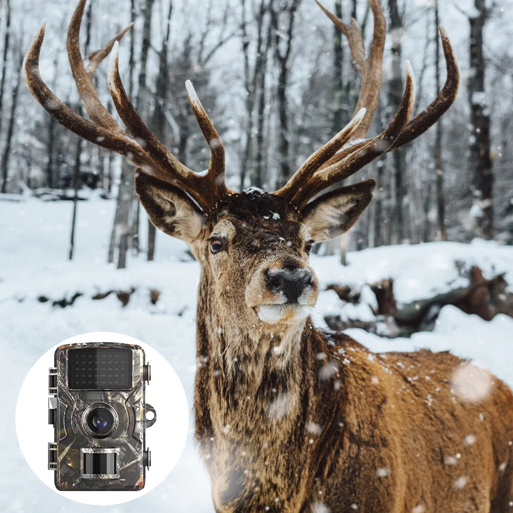Trailer Hunting Game Camera Night Vision Wildlife Monitoring Outdoor Scouting Waterproof 1080P
Trailer Hunting Game Camera Night Vision Wildlife Monitoring Outdoor Scouting Waterproof 1080P