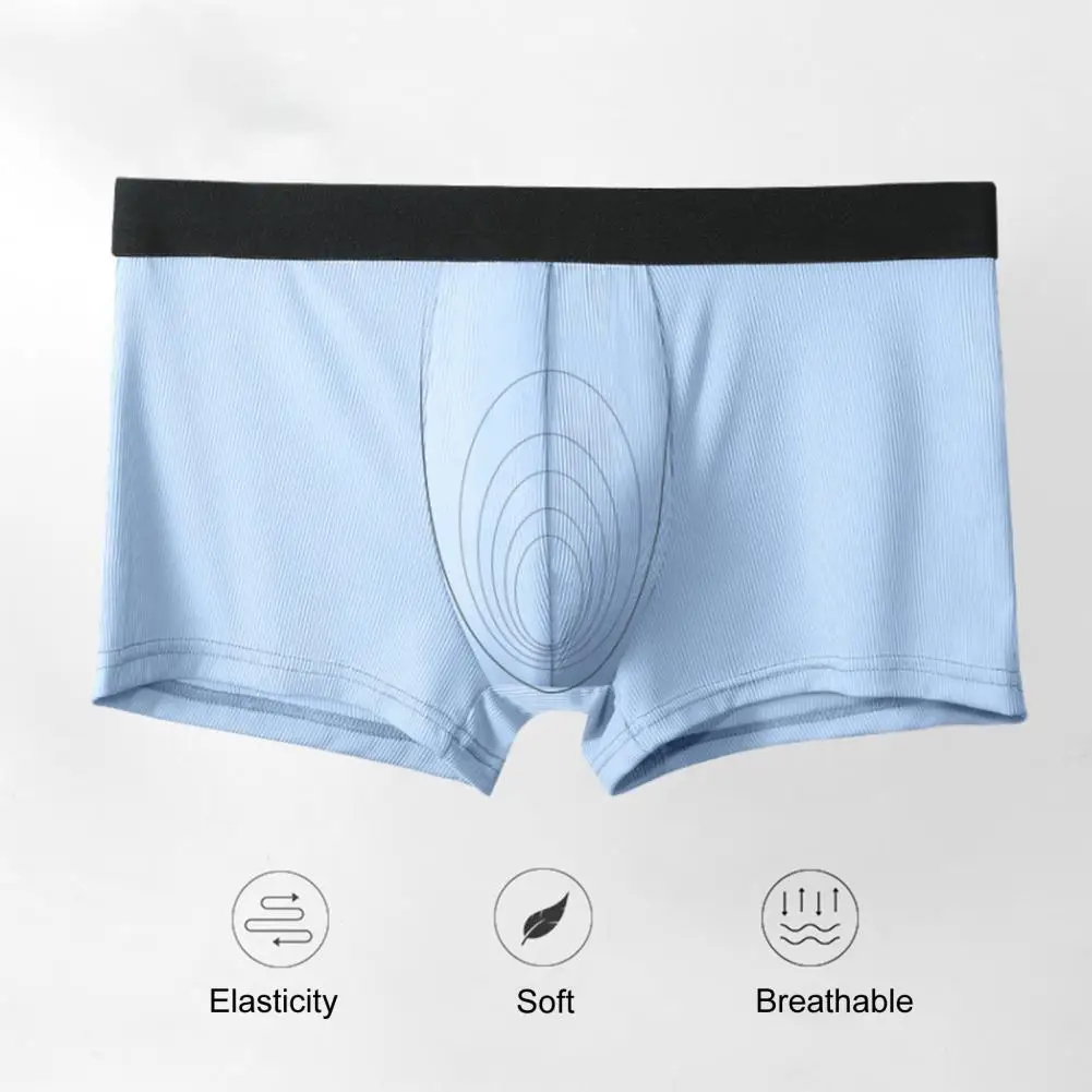 Anti-pilling Trendy Mid Waist Stretchy Panties Plus Size Men Panties Thin for Daily Wear
Anti-pilling Trendy Mid Waist Stretchy Panties Plus Size Men Panties Thin for Daily Wear