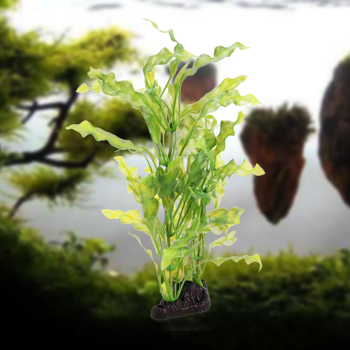 Aquariumfish Tank Decorations Artificial Decor Aquaticfakeaccessories Ornamentdécor Water Ornaments Green Silk Live Floating
Aquariumfish Tank Decorations Artificial Decor Aquaticfakeaccessories Ornamentdécor Water Ornaments Green Silk Live Floating